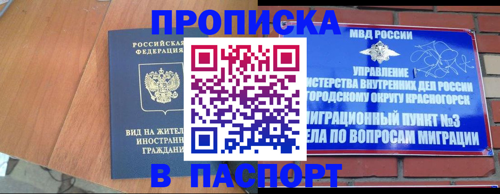 найти адрес прописки в Каргате